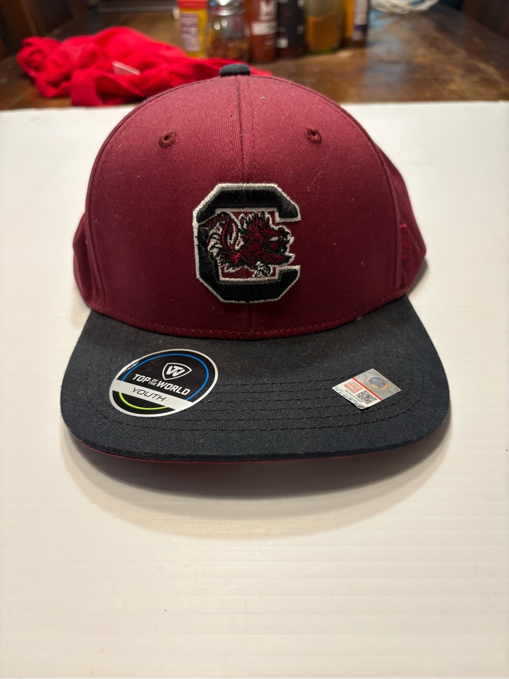 University of South Carolina Gamecocks hat